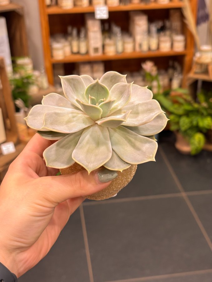 C'est bientôt les vacances ! photo 2